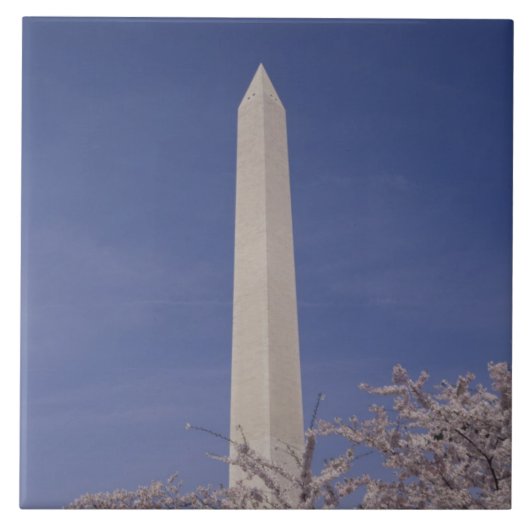Noord-Amerika, VS, Washington D.C.. Washington Tegeltje (Voorkant)