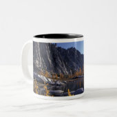 Noord-Amerika, VS, Washington, Enchantation Tweekleurige Koffiemok (Voorkant links)