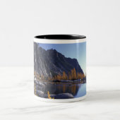 Noord-Amerika, VS, Washington, Enchantation Tweekleurige Koffiemok (Center)