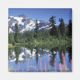 Noord-Amerika, VS, Washington, Heather Meadows Magneet