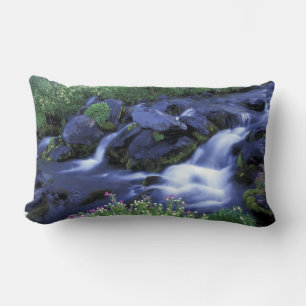 Noord-Amerika, VS, Washington, Mt. Rainier 3 Kussen