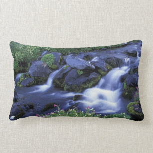 Noord-Amerika, VS, Washington, Mt. Rainier 3 Kussen