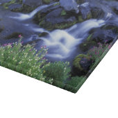 Noord-Amerika, VS, Washington, Mt. Rainier 3 Snijplank (Hoek)