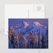 Noord-Amerika, VS, Washington, Mt. Rainier 4 Briefkaart (Voorkant / Achterkant)