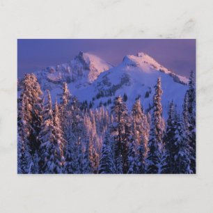 Noord-Amerika, VS, Washington, Mt. Rainier 4 Briefkaart