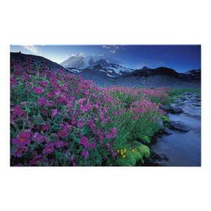 Noord-Amerika, VS, Washington, Mt. Rainier 6 Foto Afdruk