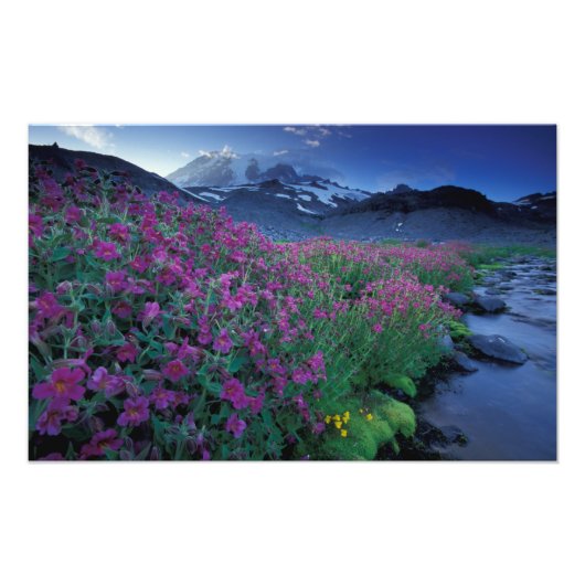 Noord-Amerika, VS, Washington, Mt. Rainier 6 Foto Afdruk (Voorkant)