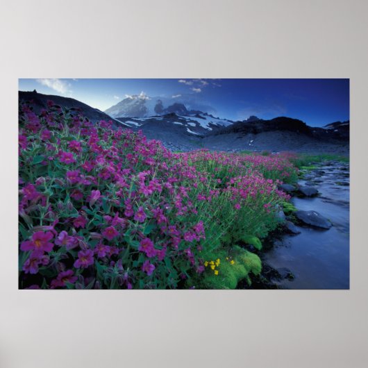 Noord-Amerika, VS, Washington, Mt. Rainier 6 Poster (Voorkant)