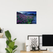 Noord-Amerika, VS, Washington, Mt. Rainier 6 Poster (Thuiskantoor)