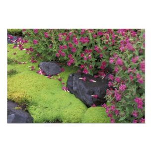 Noord-Amerika, VS, Washington, Mt. Rainier Foto Afdruk