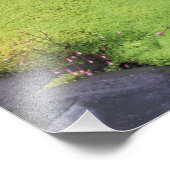 Noord-Amerika, VS, Washington, Mt. Rainier Foto Afdruk (Hoek)