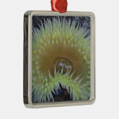 Noord-Amerika, VS, Washington, Olympic 4 Metalen Ornament (Rechts)