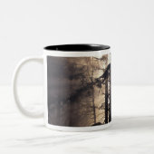 Noord-Amerika, VS, Washington, Olympic NF Tweekleurige Koffiemok (Links)