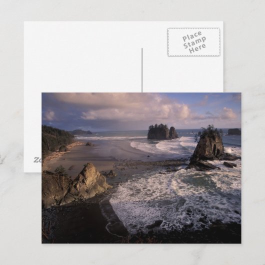 Noord-Amerika, VS, Washington, Olympic NP, Briefkaart (Voorkant / Achterkant)