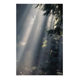 Noord-Amerika, VS, Washington, Olympic NP, Foto Afdruk