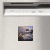 Noord-Amerika, VS, Washington, Olympic NP, Magneet (Insitu (Vaatwasser))