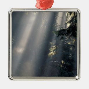 Noord-Amerika, VS, Washington, Olympic NP, Metalen Ornament