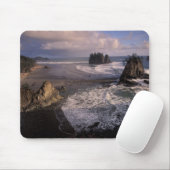 Noord-Amerika, VS, Washington, Olympic NP, Muismat (Met muis)