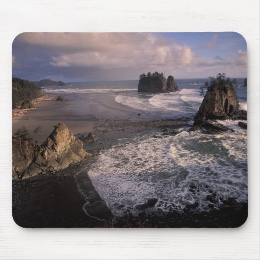 Noord-Amerika, VS, Washington, Olympic NP, Muismat (Voorkant)
