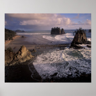 Noord-Amerika, VS, Washington, Olympic NP, Poster