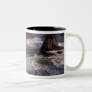 Noord-Amerika, VS, Washington, Olympic NP, Tweekleurige Koffiemok