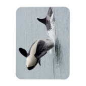 Noord-Amerika, VS, Washington, San Juan Magneet (Verticaal)