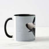 Noord-Amerika, VS, Washington, San Juan Mok (Links)