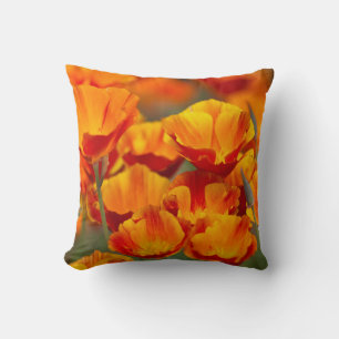 Noord-Amerika, VS, Washington, Seattle Kussen