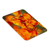 Noord-Amerika, VS, Washington, Seattle Magneet (Rechterzijde)