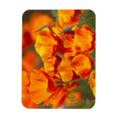 Noord-Amerika, VS, Washington, Seattle Magneet (Verticaal)