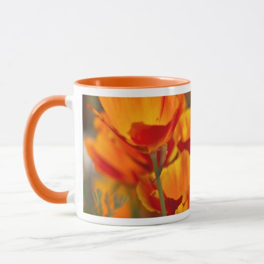 Noord-Amerika, VS, Washington, Seattle Mok (Links)