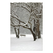 Noord-Amerika, VS, Washington, Seattle, sneeuw 2 Foto Afdruk (Voorkant)