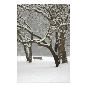 Noord-Amerika, VS, Washington, Seattle, sneeuw 2 Foto Afdruk