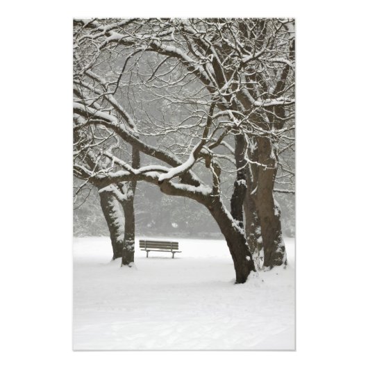 Noord-Amerika, VS, Washington, Seattle, sneeuw 2 Foto Afdruk (Voorkant)