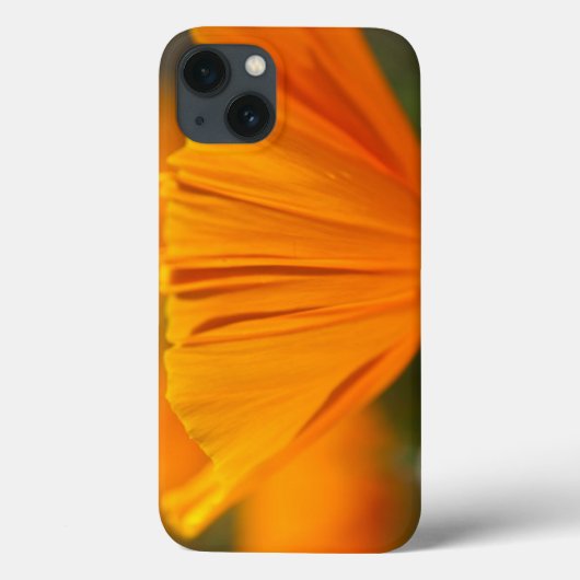 Noord-Amerika, VS, Washington, Seattle, zomer Case-Mate iPhone Case (Achterkant)