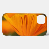 Noord-Amerika, VS, Washington, Seattle, zomer Case-Mate iPhone Case (Achterkant (horizontaal))