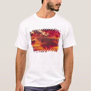 Noord-Amerika, VS, Washington, Seattle. Zonsopgang T-shirt