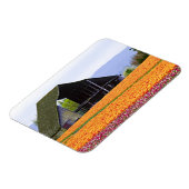 Noord-Amerika, VS, Washington, Skagit Valley. 2 Magneet (Linkerzijde)