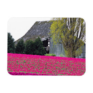 Noord-Amerika, VS, Washington, Skagit Valley. Magneet