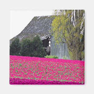 Noord-Amerika, VS, Washington, Skagit Valley. Magneet