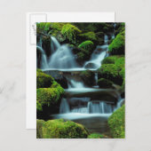 Noord-Amerika; VS; Washington, Sol Duc Cascade Briefkaart (Voorkant / Achterkant)