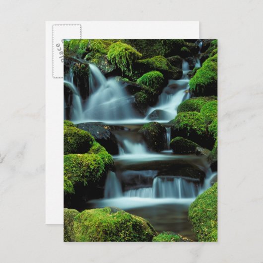 Noord-Amerika; VS; Washington, Sol Duc Cascade Briefkaart (Voorkant / Achterkant)