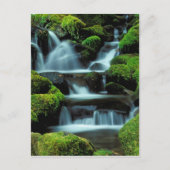 Noord-Amerika; VS; Washington, Sol Duc Cascade Briefkaart (Voorkant)