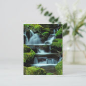 Noord-Amerika; VS; Washington, Sol Duc Cascade Briefkaart (Staand voorkant)