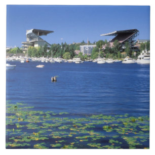 Noord-Amerika, VS, Washington State, Seattle Tegeltje