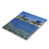 Noord-Amerika, VS, Washington State, Seattle Tegeltje (Zijkant)