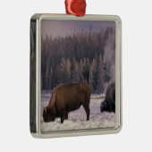 Noord-Amerika, VS, Wyoming, geelsteen NP, Metalen Ornament (Rechts)