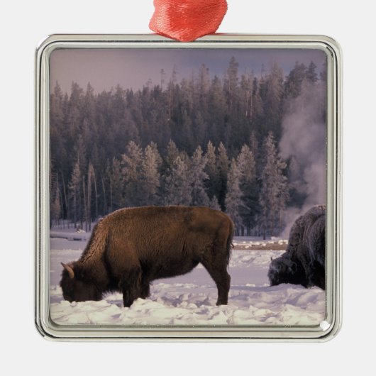 Noord-Amerika, VS, Wyoming, geelsteen NP, Metalen Ornament (Voorkant)