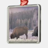 Noord-Amerika, VS, Wyoming, geelsteen NP, Metalen Ornament (Links)