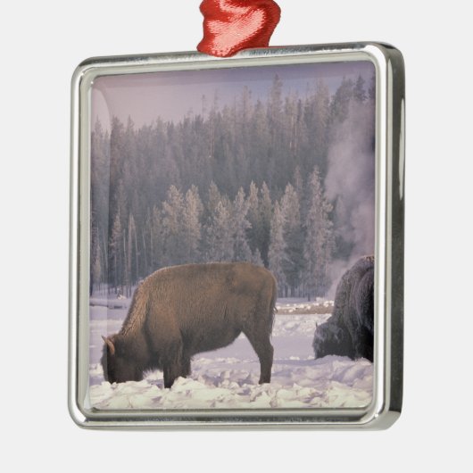 Noord-Amerika, VS, Wyoming, geelsteen NP, Metalen Ornament (Links)